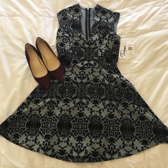Trixxi Dresses & Skirts - NWT Gorgeous Gray and Black Velvet Dress size M!